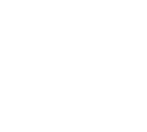 Talking Windows: Advies aan huis voor gordijnen, raamdecoratie, zonwering en interieur